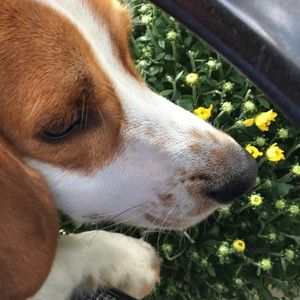 Meet your Posher, Janie